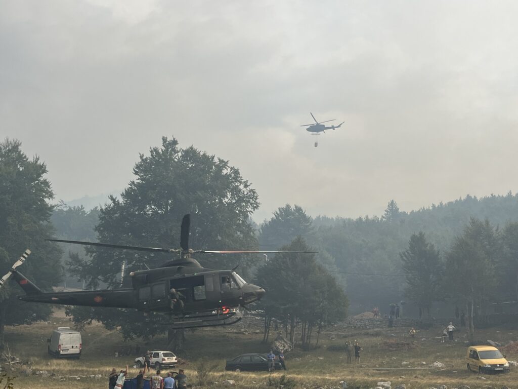 Značajan broj lica procesuiran zbog podmetanja požara širom Crne Gore