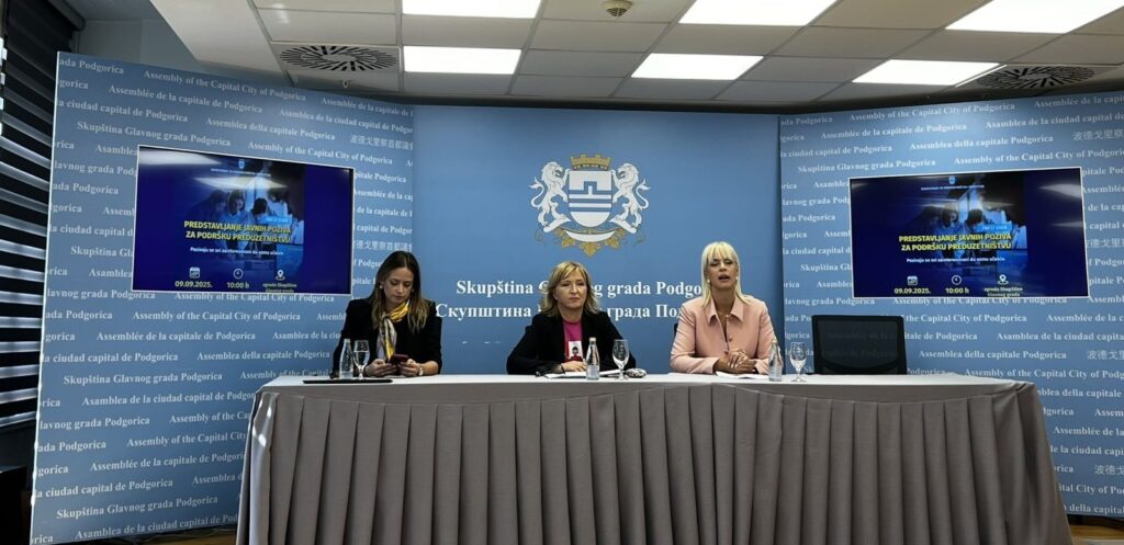 Ljiljanić: Biće raspisano pet konkursa za podršku preduzetnicama