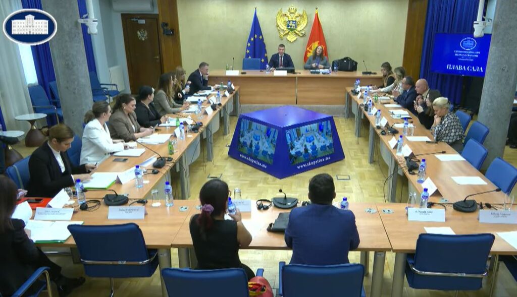 Odbor će saslušati Šimuna, Vukovića, Kadića i Bogavca