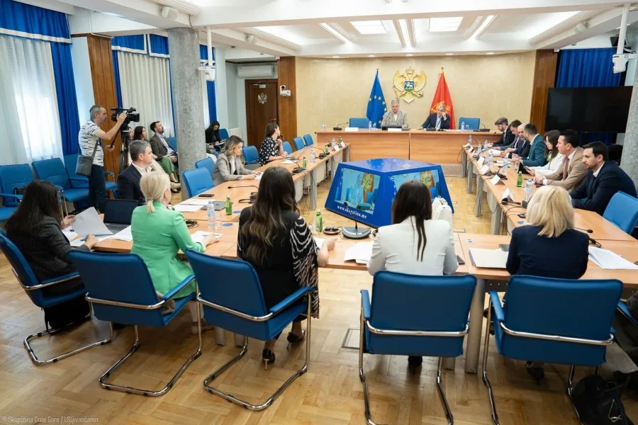 Odbor prihvatio predlog PES-a: Briše se riječ „nasilna“ iz formulacije o aneksiji Crne Gore