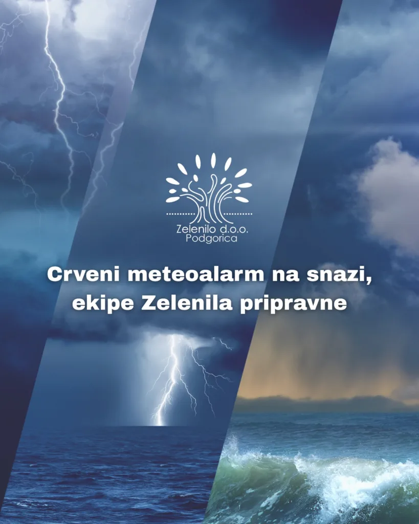 Zelenilo pripravno zbog vremenskih nepogoda 11 Zelenilo pripravno zbog vremenskih nepogoda