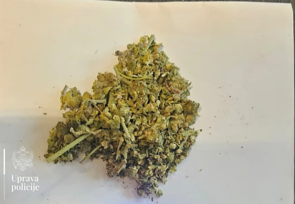Uhapšen drugi osumnjičeni za krijumčarenje 107 kilograma marihuane preko Skadarskog jezera