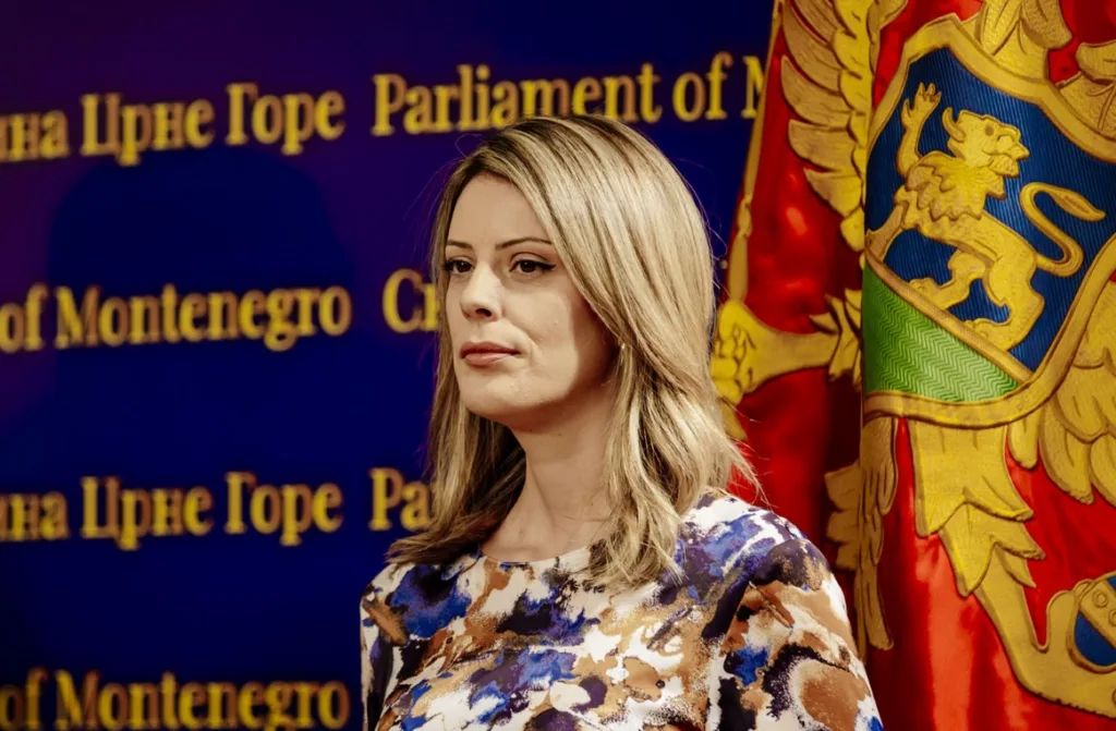 Novaković Đurović: Nakon jasnih upozorenja struke, očekujem da Glavni grad traži zaustavljanje gradnje Veljeg brda