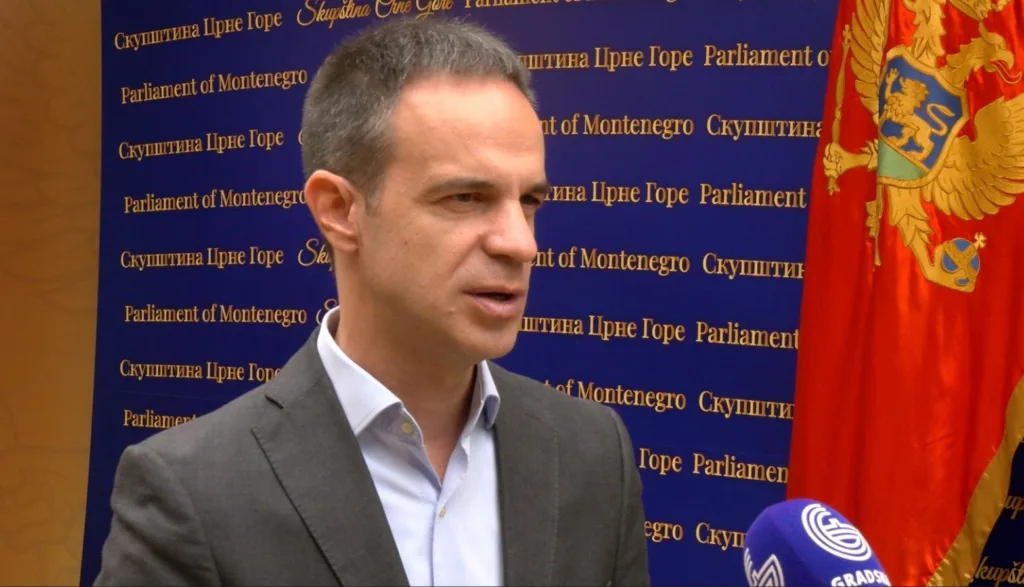 Boris Mugosa SD foto gradski me