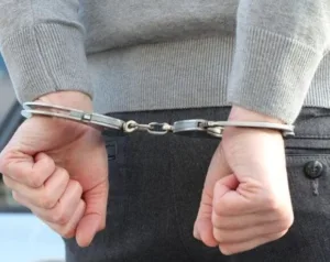 Lisice foto pixabay 580x4601 1