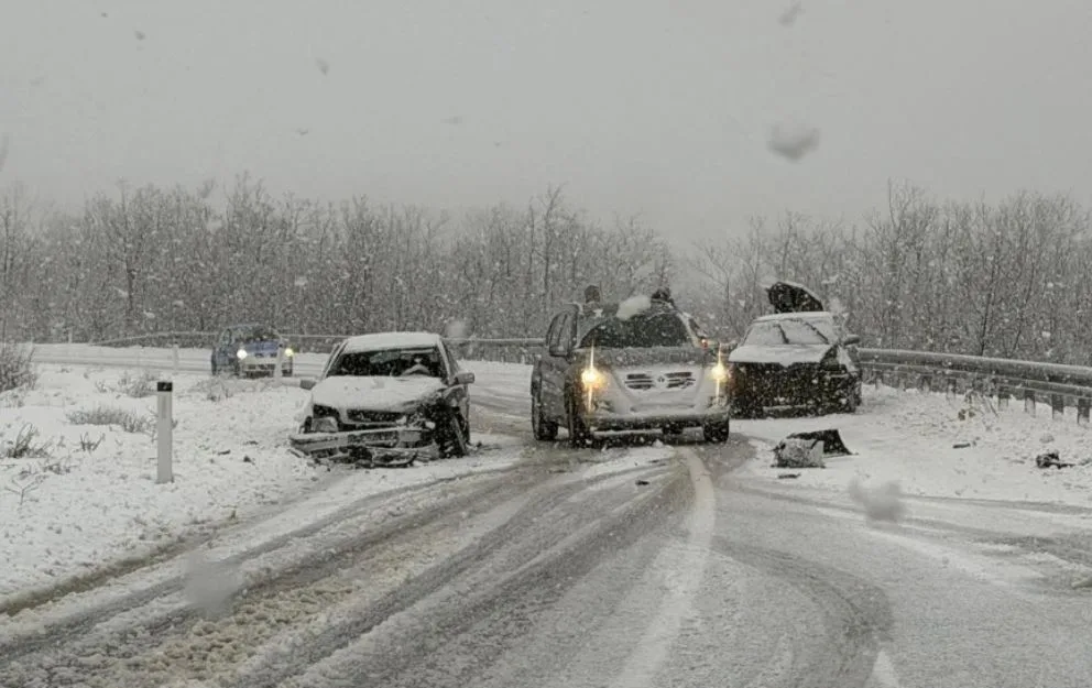 Udes Jasenovo polje foto rtcg citalac