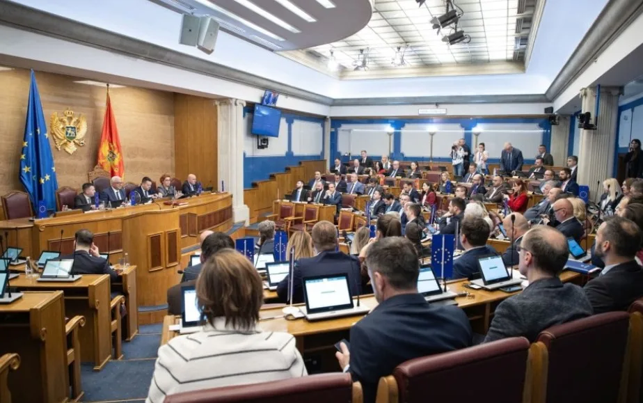 Protest NVO: Predlozi spornih Zakona bezbjednosti na dnevnom redu Skupštine bez zelenog svjetla EU