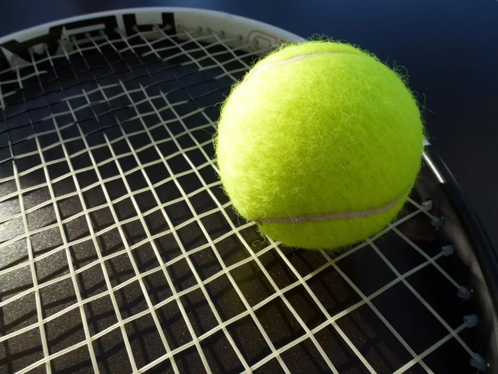 Hrvatska teniserka pala na doping testu 12 Hrvatska teniserka pala na doping testu