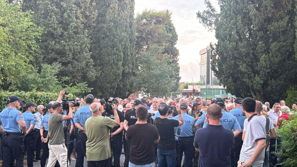 Savjet za građansku kontrolu rada policije provjeriće postupanje službenika tokom protesta kod Vile Gorica