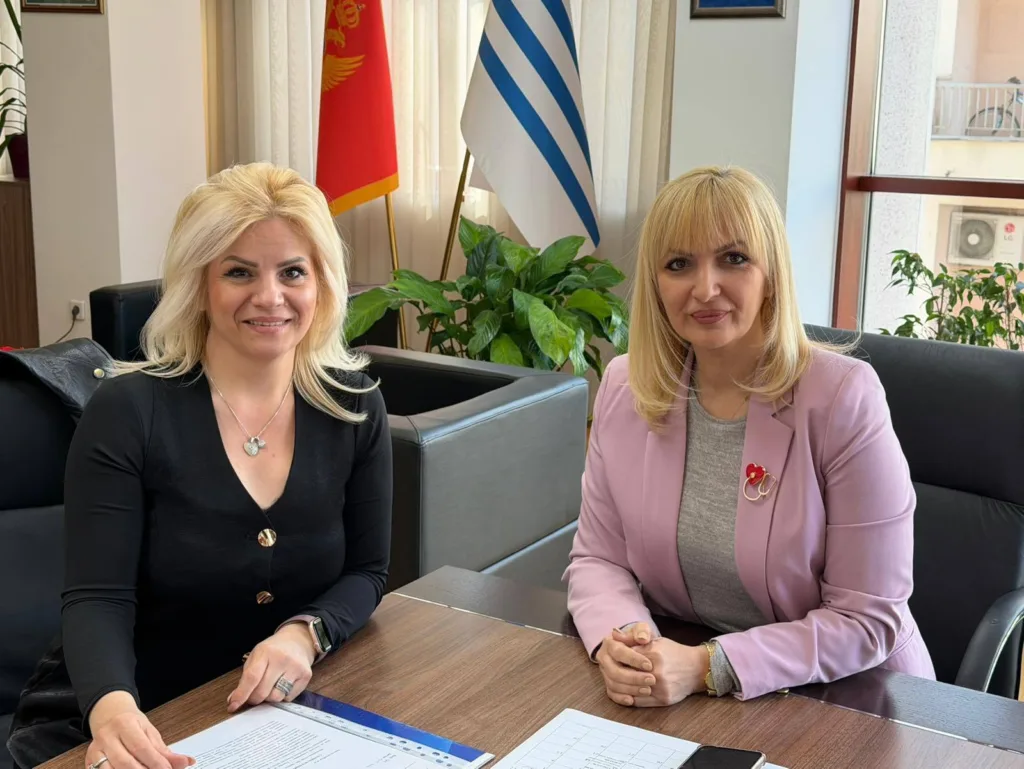 Modernizacija javnog zdravstvenog sistema u službi bolje kontrole dijabetesa