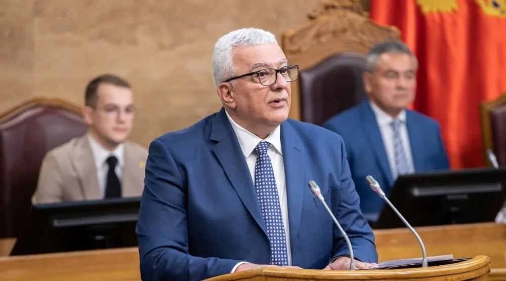 Mandić: Raspisani javni pozivi za izbor članova savjeta AMU i RTCG