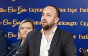Nikolić: Izvještaj EP treba čitati i kao upozorenje vladi i većini da promijene način djelovanja 2 Nikolić: Izvještaj EP treba čitati i kao upozorenje vladi i većini da promijene način djelovanja