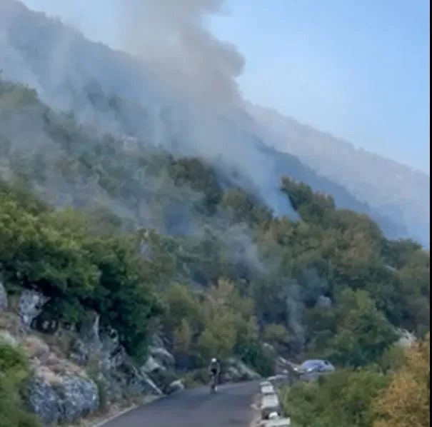 Požar na Lovćenu pod kontrolom, vatrogasci proveli noć na terenu