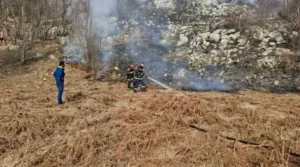 IMG 9ce7af2bac4d22069e0cc51c7a54f06a V 1 1000x555 1