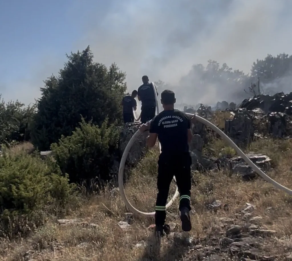 (VIDEO) Bojanović: Ugašen požar na Kakarickoj gori 3 (VIDEO) Bojanović: Ugašen požar na Kakarickoj gori