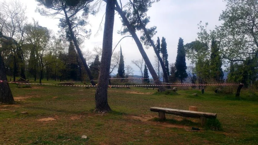 (FOTO) Zbog jakog vjetra na Gorici oštećena stabla: Građani da izbjegavaju boravak na tom području do stabilizacije vremena