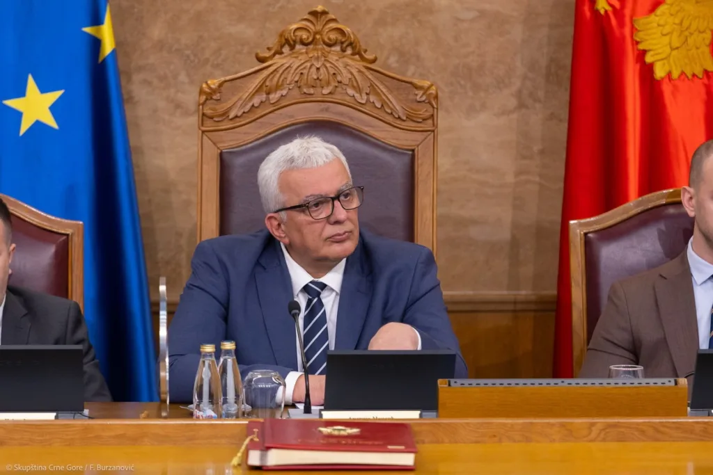 Mandić: Prema onome što znam, Krstonijevića ćemo izabrati u utorak