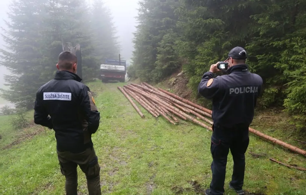 Bespravna sječa šume u NP Prokletije