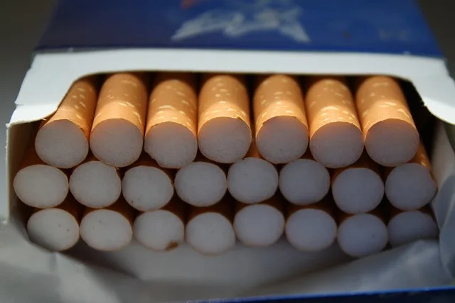 Krivična prijava protiv Beranca: Osumnjičen za šverc cigareta