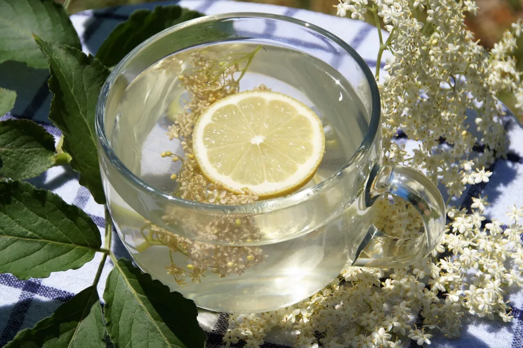 Recept za sirup od zove koji budi uspomene na djetinjstvo