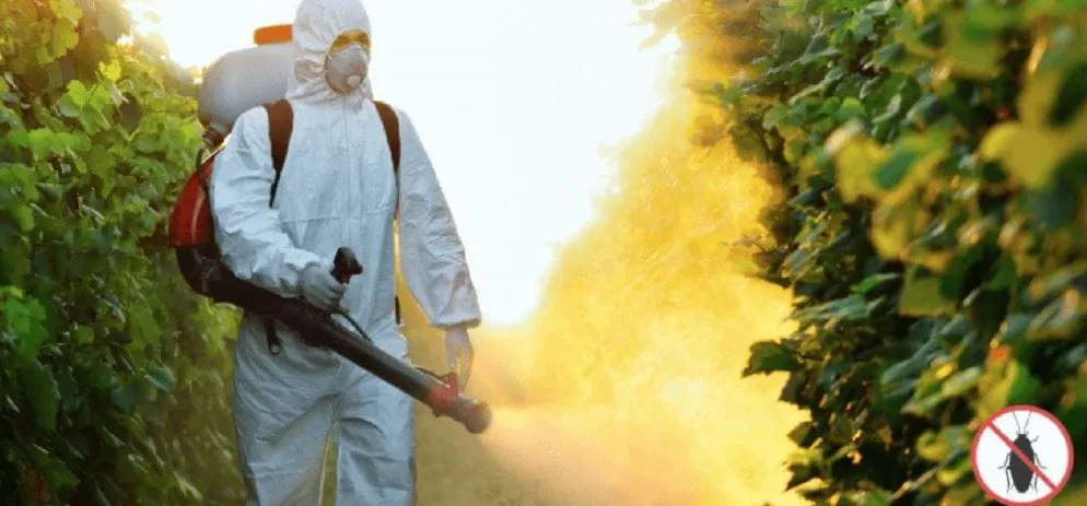 SZO upozorava na širenje virusa čikungunje