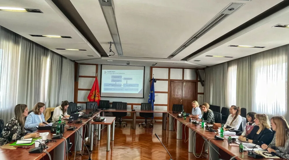 Nišavić: Crna Gora posvećena borbi protiv poreskih prevara i utaje poreza 7 Nišavić: Crna Gora posvećena borbi protiv poreskih prevara i utaje poreza