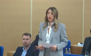 Aranitović: Borovinić Bojović ostavkom izbjegla suočavanje sa odbornicima