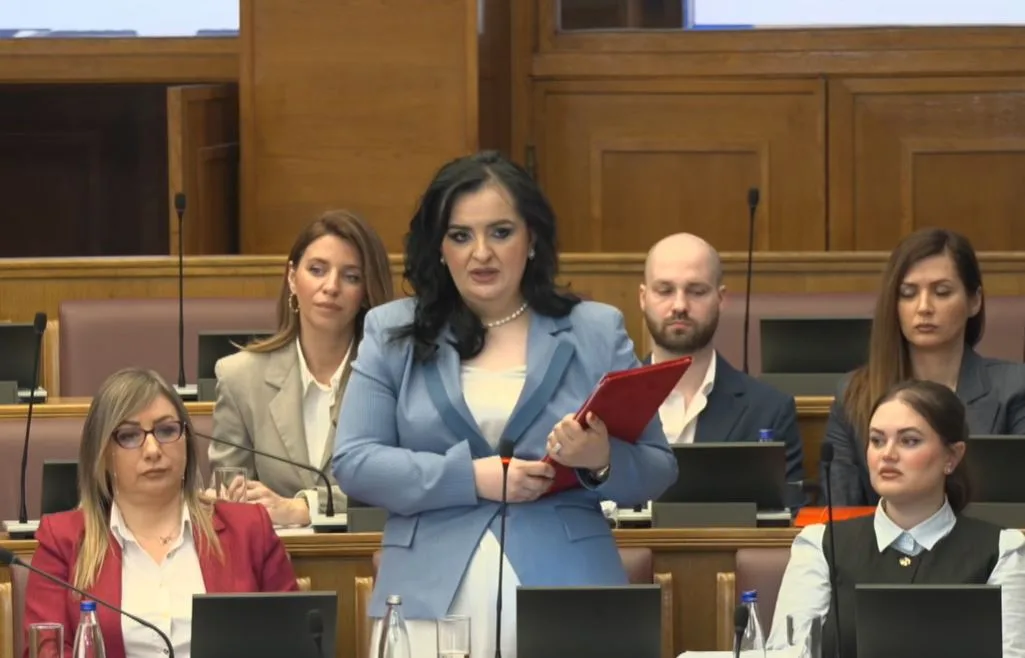 Nišić: Povećanje roditeljskog odsustva na 14 mjeseci pozitivna mjera 6 Nišić: Povećanje roditeljskog odsustva na 14 mjeseci pozitivna mjera