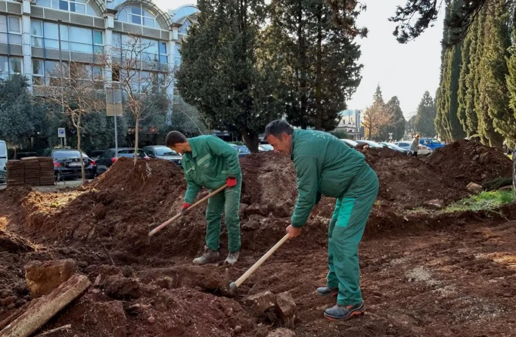 Adaptacija zelenog prostora oko KIC-a 3 Ozelenjavanje foto Zelenilo