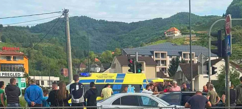 Bjelopoljac preminuo nakon ujeda pčele 16 Bjelopoljac preminuo nakon ujeda pčele