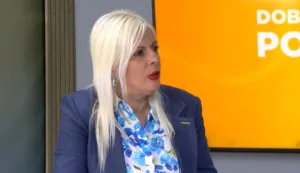 (VIDEO) Perović: Nakon koncerta Rikija Martina na terenu bilo 30 zaposlenih iz GP Čistoća 23 (VIDEO) Perović: Nakon koncerta Rikija Martina na terenu bilo 30 zaposlenih iz GP Čistoća