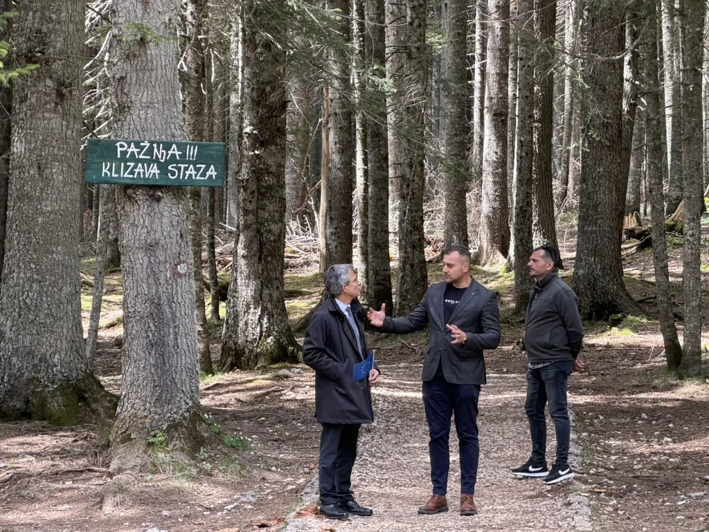 Žabljak obilježio Dan Evrope: Slijedimo ideju ujedinjene Evrope 1 IMG 5548 1