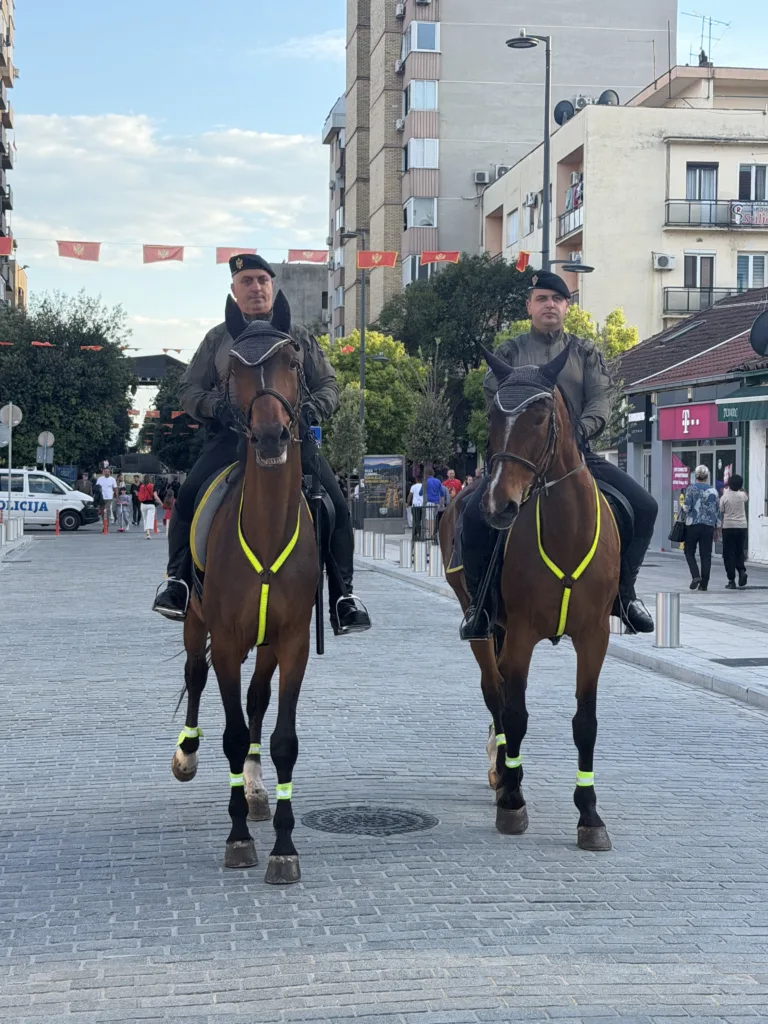 (VIDEO/ FOTO) Počeo spektakl na Trgu: Podgorica u znaku Rikija Martina i 20 godina nezavisnosti 1 IMG 6759