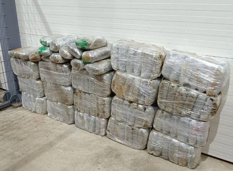 Nikšić: Krivična prijava zbog krijumčarenja 124 kilograma marihuane
