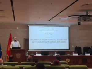 Vučinić: Elektrifikacija saobraćaja štiti crnogorsku ekonomiju od naftnih kriza