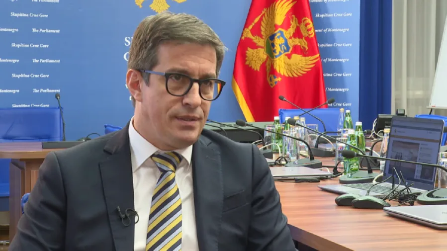 Vladimir Dobricanin Ujedinjena Crna Gora
