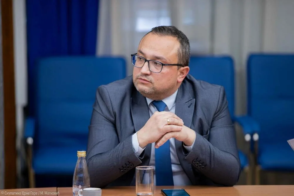 Ćeman: Naši građani zaslužuju da rastu u dekriminalizovanoj i prosperitetnoj državi