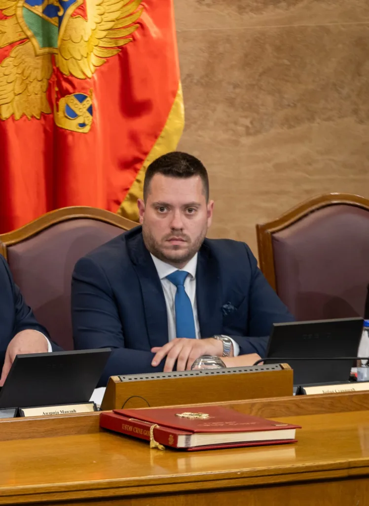 Stanišić: Napredak Crne Gore važan za kredibilitet politike proširenja EU 1 bobanstanisic