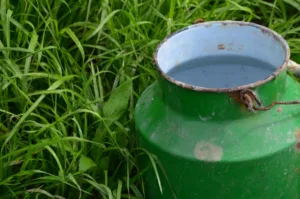 bucket