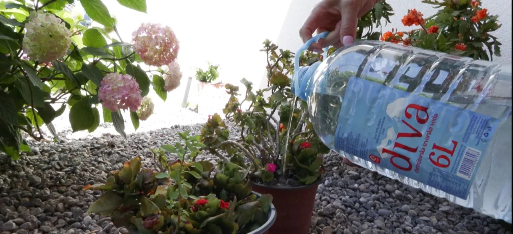 (VIDEO) Mještani Kakaricke gore: Nemamo vode danima, potrošnja minimalna, a računi visoki 1 kakarickagoravoda