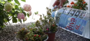 (VIDEO) Mještani Kakaricke gore: Nemamo vode danima, potrošnja minimalna, a računi visoki