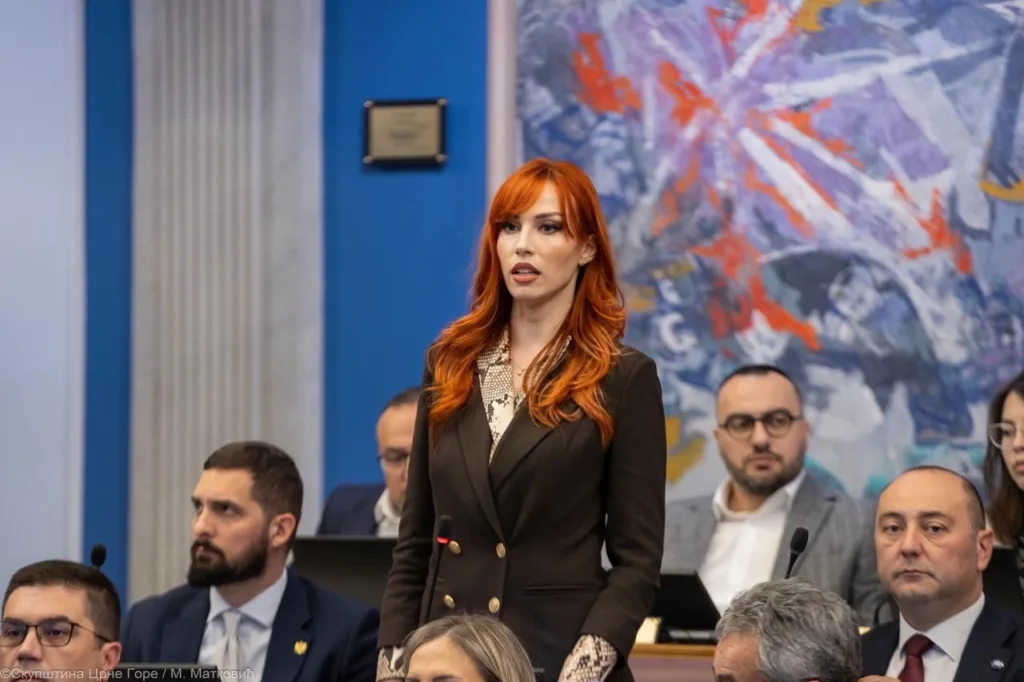 Vojinović: Postoji crvena linija koju pristojan čovjek ne prelazi ni u najžešćoj političkoj borbi, a ta granica su djeca