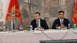 Šaranović: U biračkom spisku preminuli, pogrešne adrese, hiljade građana bez lične karte 2 Šaranović: U biračkom spisku preminuli, pogrešne adrese, hiljade građana bez lične karte