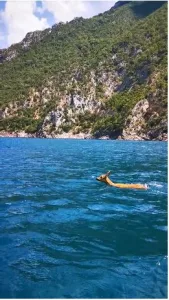 (VIDEO) Wonderful sight: Cooling off a doe in Piva Lake