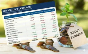 Dobit mikrokreditnih institucija u Crnoj Gori rasla u 2025, Alter Modus i dalje lider 3 Dobit mikrokreditnih institucija u Crnoj Gori rasla u 2025, Alter Modus i dalje lider