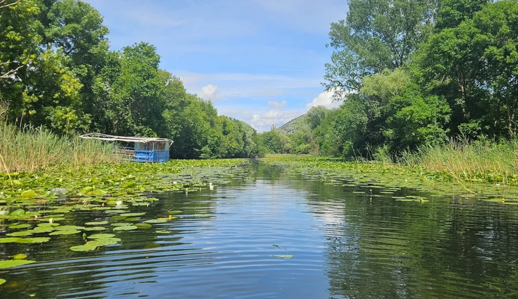 Skadarsko jezero kanal Rijeke Crnojevica foto portal tvpg