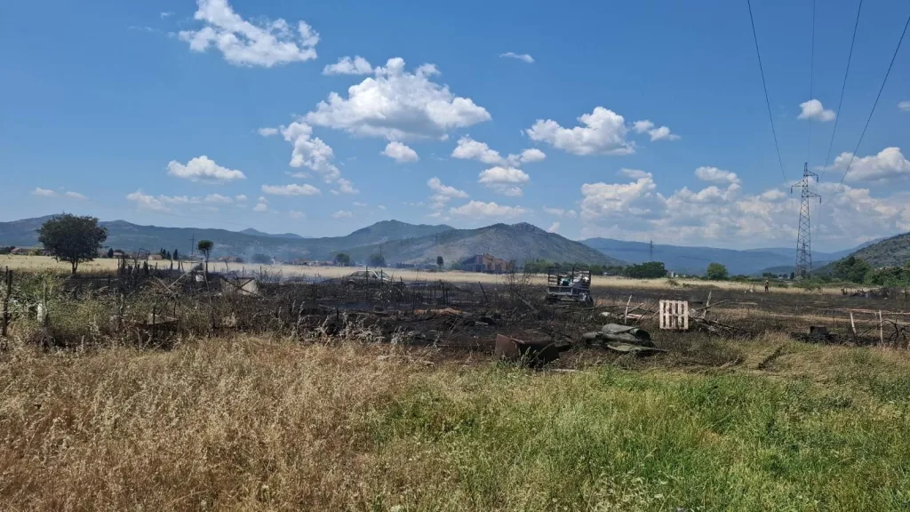 Katnić: Požar jako brzo stavljen pod kontrolu, spriječeno širenje ka park šumi Tološi