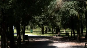 (VIDEO) Gorica once again targeted by vandals, damaged benches restored