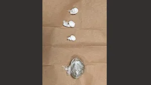 U Kotoru uhapšen devetnaestogodišnjak kod kojeg su pronađeni kokain i marihuana