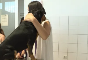 (VIDEO) Mitić: Dodatan oprez kod kućnih ljubimaca tokom ljetnjih dana 2 (VIDEO) Mitić: Dodatan oprez kod kućnih ljubimaca tokom ljetnjih dana